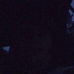 Dannyparnell - @dannyparnell89 - Instagram