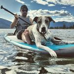 Danny Pascoe - @danpascoe017 - Instagram