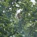 Danny Passmore - Facebook