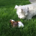 Patch & Danny - @patchndannymay - Instagram