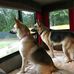 Dan Paynter - Facebook
