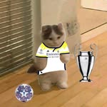 Daniel Pech Medina - @danny_pech_medina - Instagram