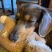 Danny Peck - Facebook