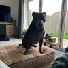 Danny Peck - @danny.peck6 - TikTok