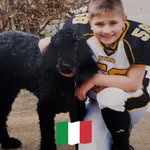 Danny Pecoraro - @dannypeck69 - Instagram