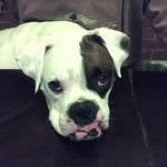Danny Pender - @gatekeeper06 - Instagram
