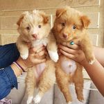 @danny._.penny - Instagram