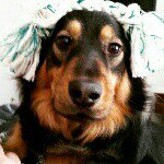 danny and penny - @danny_penny2488 - Instagram