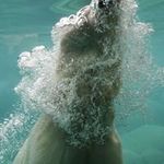 Danny Penny - @dannypennyac - Instagram
