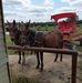 Danny Peoples - Facebook