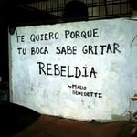 Danny Pepe - @dannypepe77 - Instagram