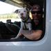 Danny Petersen - Facebook