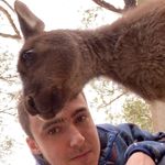 danny_petty - @danny_petty - Instagram