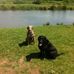 Danny Philpot - Facebook