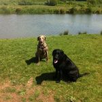 Danny Philpot - @dannyphilpot69 - Instagram