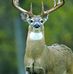 Danny Pratt - Facebook
