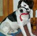 Danny Rader - Facebook