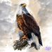 Danny Ralston - Facebook