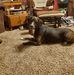 Danny Rector - Facebook