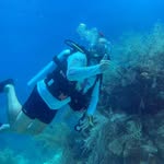 Danny Reid - @d.reid25791 - Instagram