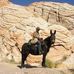 Danny Riddle - Facebook