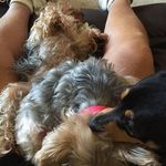 Danny Ridgeway - @dannyridgeway - Instagram
