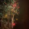 DannyBiehringer - @pyro_danny - TikTok