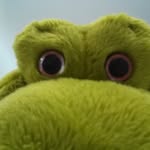 danny brousseau rioux - @bewthefrog - Instagram