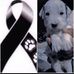 Danny Robayo - Facebook