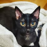 lu - @dannyrizzo - Instagram