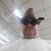 Danny Robbins - Facebook