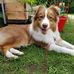Danny Roberge - Facebook