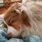 Danny Roberge - @mystie_2008 - Instagram
