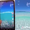 Danny Roberson - @dannyroberson - TikTok