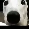 Danny - @dannyrobert123 - TikTok