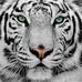 Danny Robert - Facebook