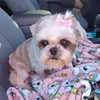 Danny Roberts - @danny.roberts25 - TikTok