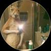 Danny Roche 600 - @danny.roche.600 - TikTok