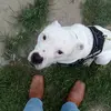 Danny Rousch - @danny.rousch - TikTok