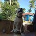 Danny Rolfalliv - Facebook
