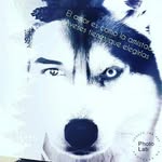 Danny Roney Ayala Castro - @dannyroney7081 - Instagram