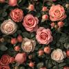 Danny Roosevelt - @danny.roosevelt1 - TikTok