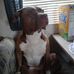 Danny Roseman - Facebook