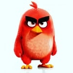 Dannycoolcool - @dannyrosenbaum0810 - Instagram
