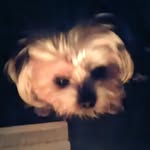 Danny Halladay - @rumplestilskin88888 - Instagram