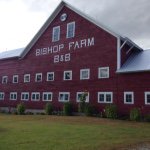Danny Salter - @bishop_farm - Instagram