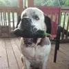 dannysalters428 - @dannysalters428 - TikTok