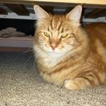 Danny Sauer - @dsauer7 - Instagram