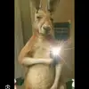 olinpia21 - @dannysaul783 - TikTok