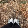 Dannydevitisaur - @dannydinosaur0 - TikTok